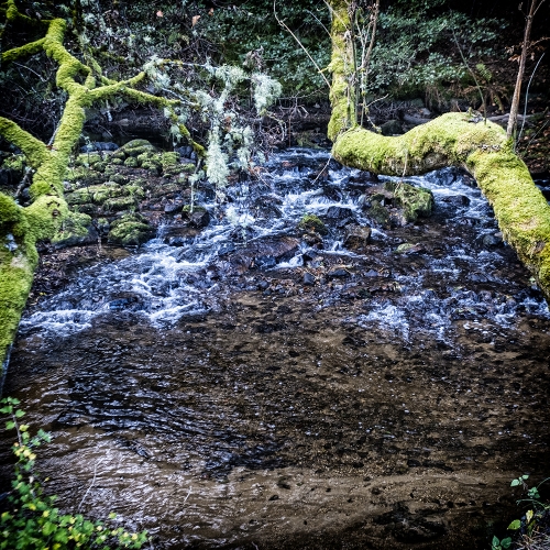 moulin-des-comtes-auvergne-2